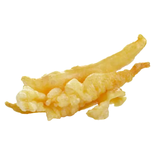 Gelembung Ikan