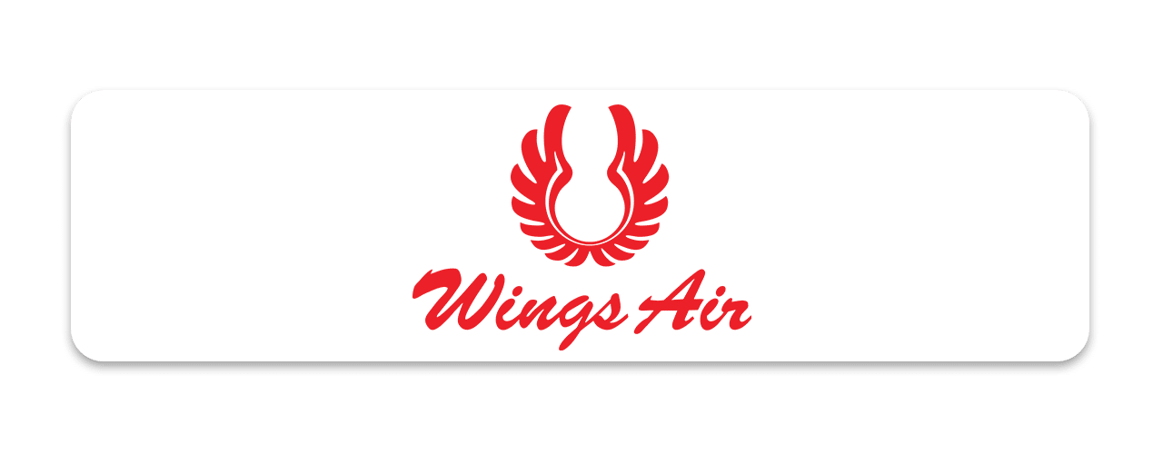 wings air