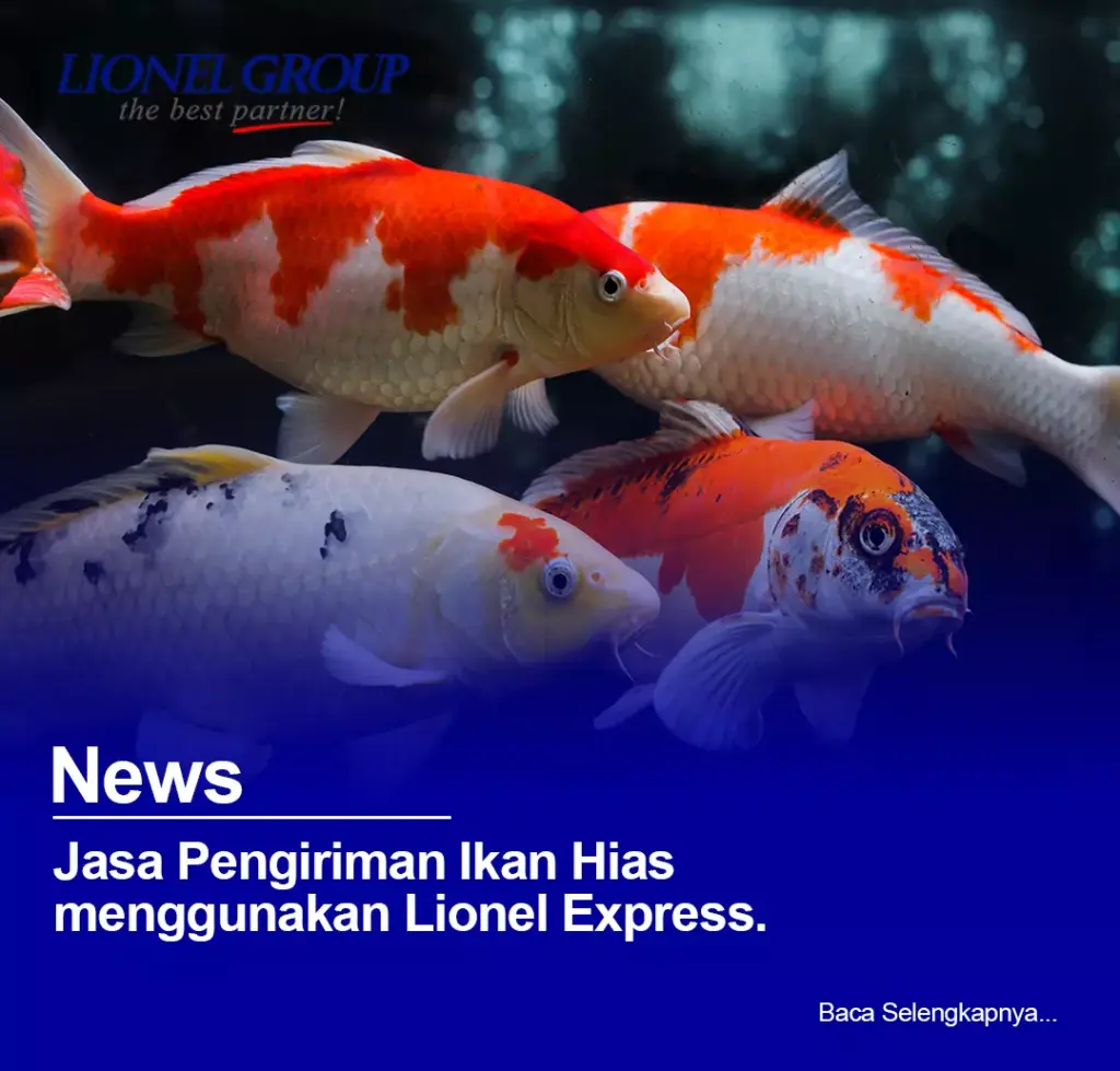 jasa kirim ikan hias