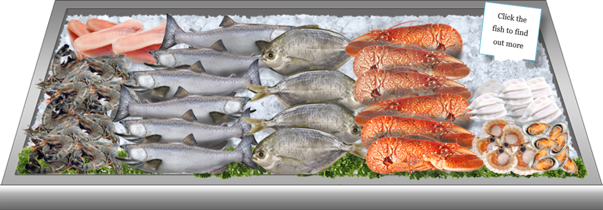 jasa kirim bahan cairan