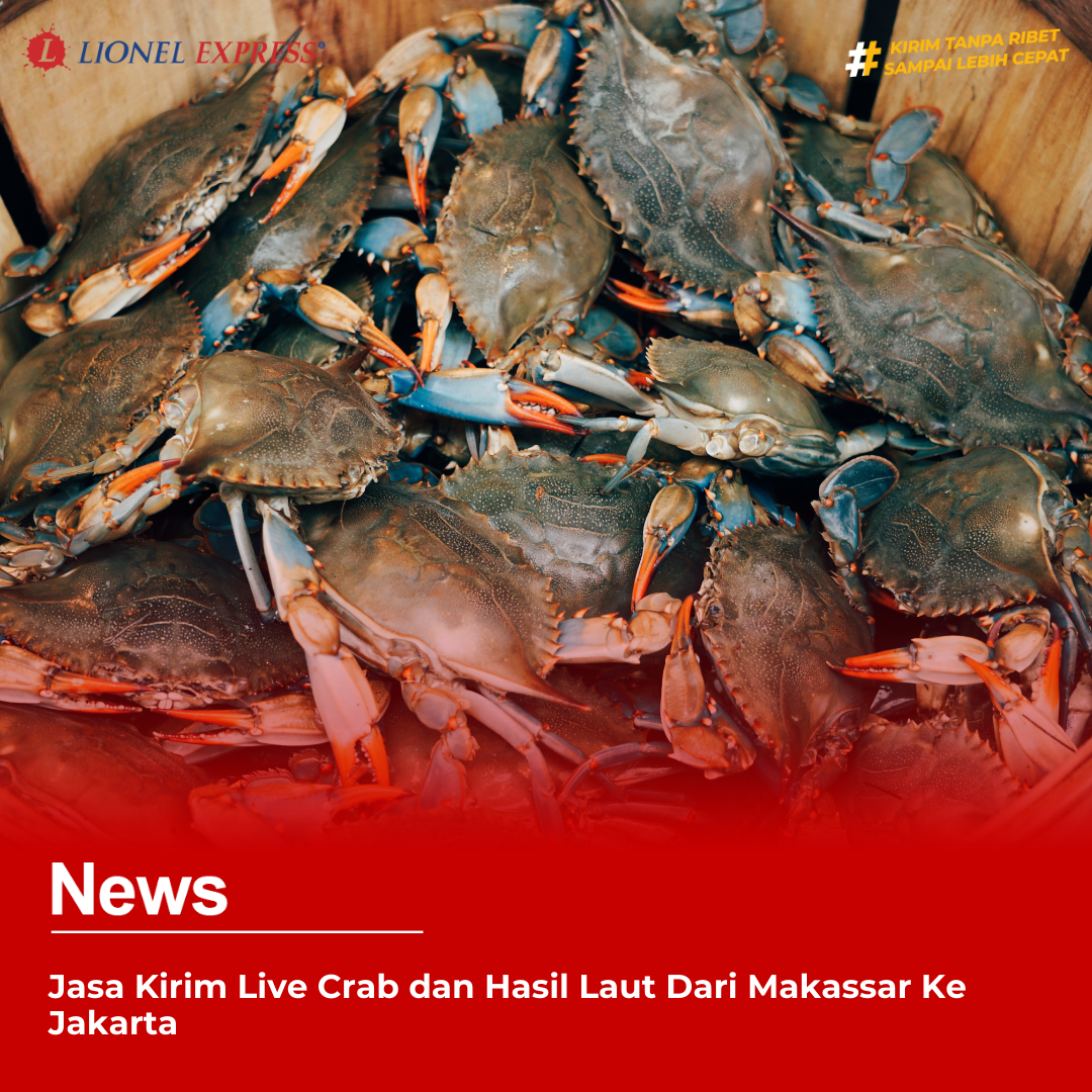 Jasa Kirim Live Crab dan Hasil Laut Dari Makassar Ke Jakarta